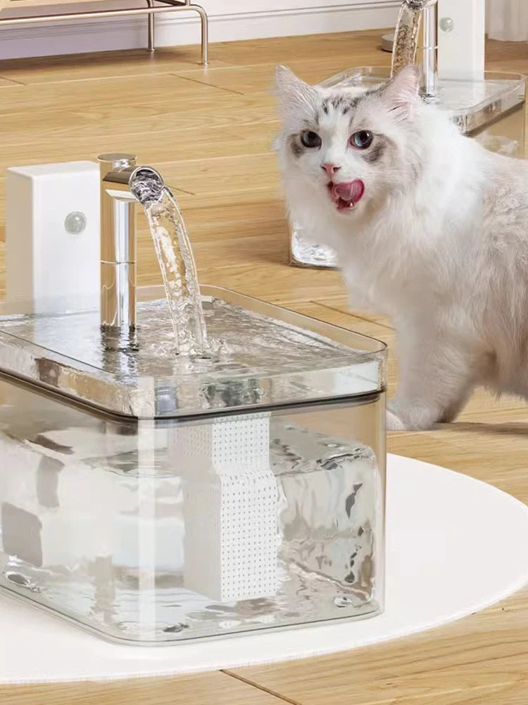 Pet Home Cat And Dog Water Dispenser Dog Automatic Recirculation Feeding And Drinking Supplies