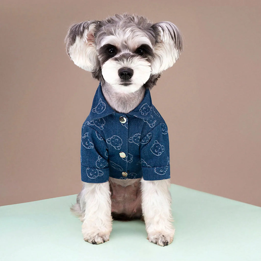 1pc  Pet dog fashionable traction denim shirt，Small and medium-sized pet denim shirt