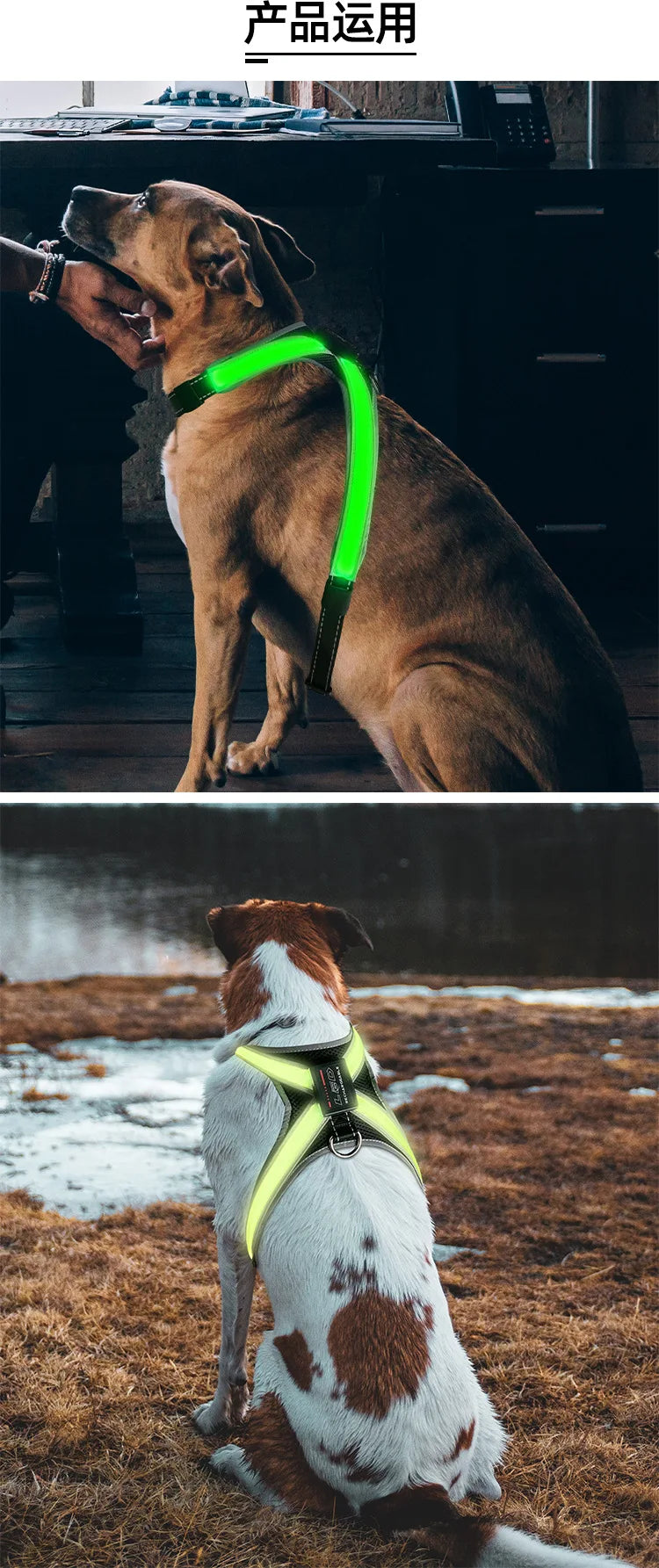 Pet Supplies Explosion-proof Flush Traction 8 Gears Color Changing Led Light Chest Braces Clothes Pet Collars
