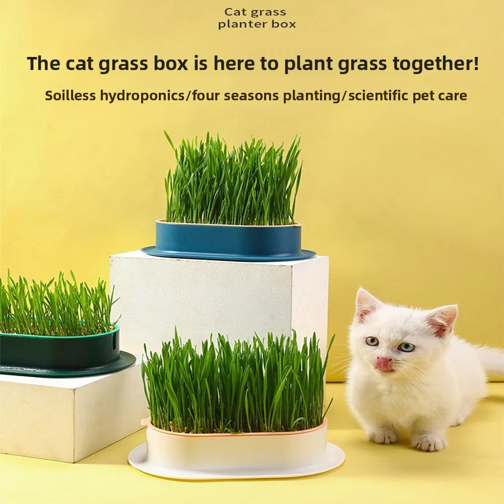 Pet Supplies Cat Snacks Cat Planting Hydroponic Box Cat Grass Pot Hydroponic Cat Grass Box