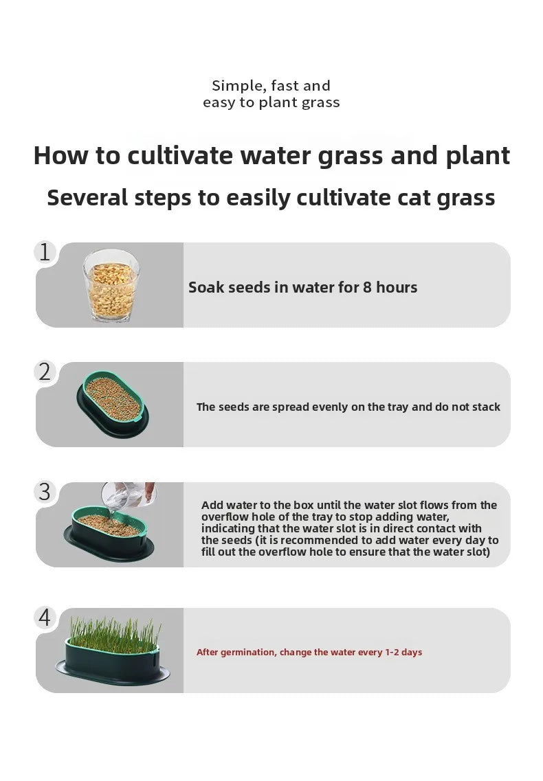 Pet Supplies Cat Snacks Cat Planting Hydroponic Box Cat Grass Pot Hydroponic Cat Grass Box