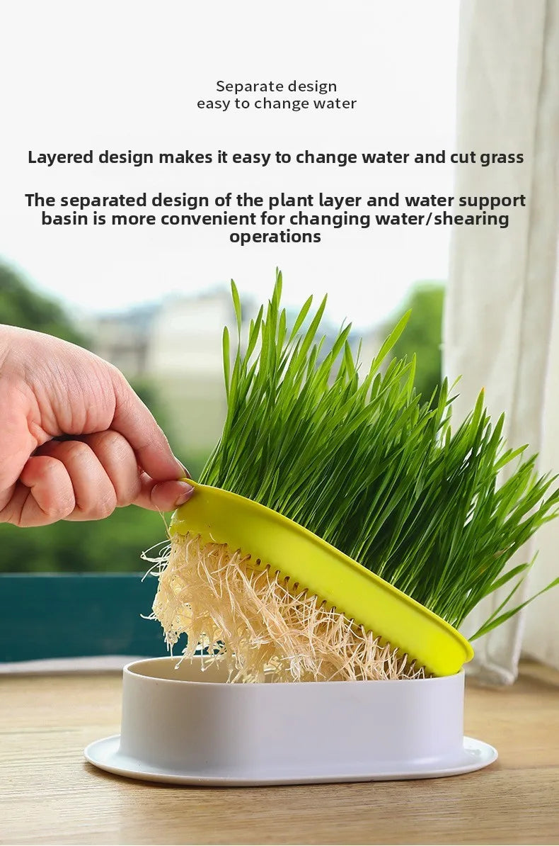 Pet Supplies Cat Snacks Cat Planting Hydroponic Box Cat Grass Pot Hydroponic Cat Grass Box