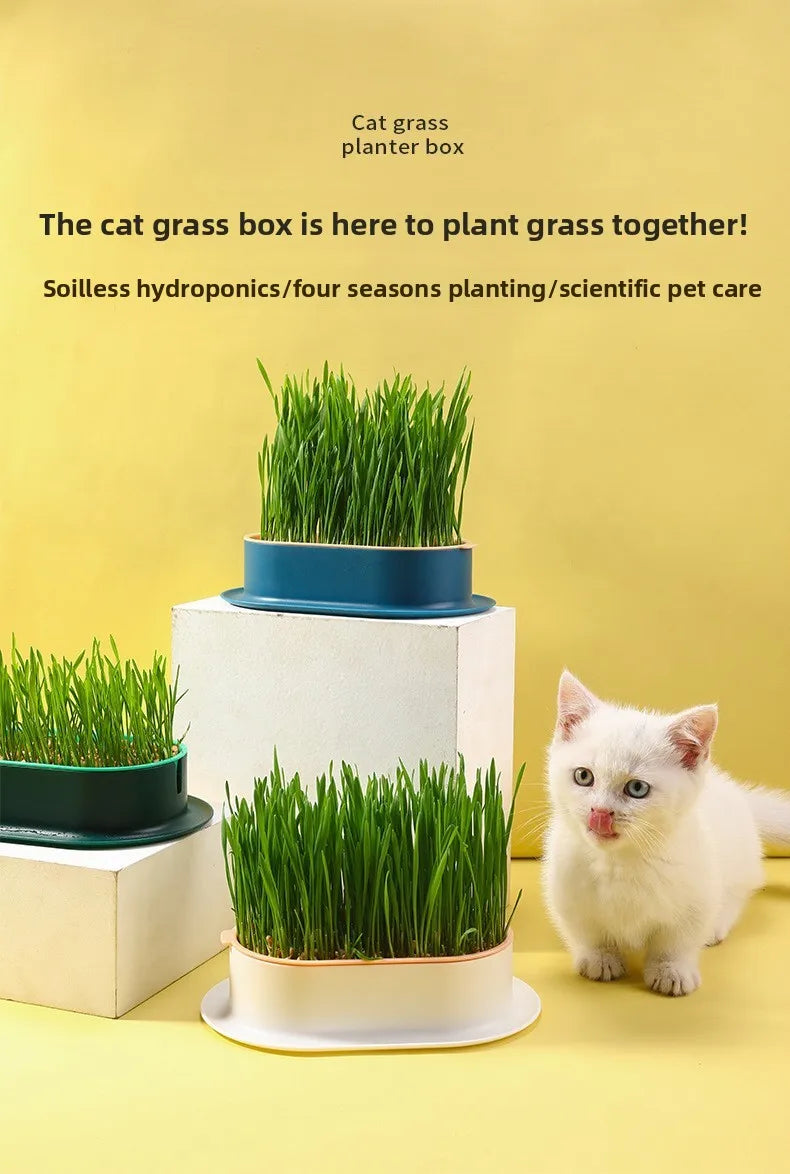 Pet Supplies Cat Snacks Cat Planting Hydroponic Box Cat Grass Pot Hydroponic Cat Grass Box