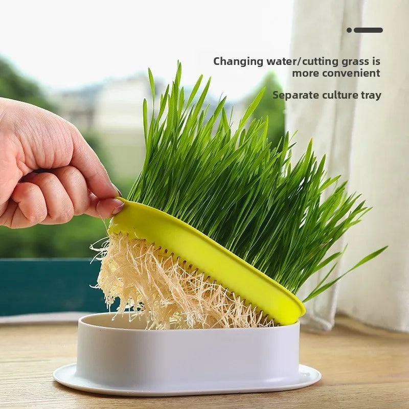 Pet Supplies Cat Snacks Cat Planting Hydroponic Box Cat Grass Pot Hydroponic Cat Grass Box