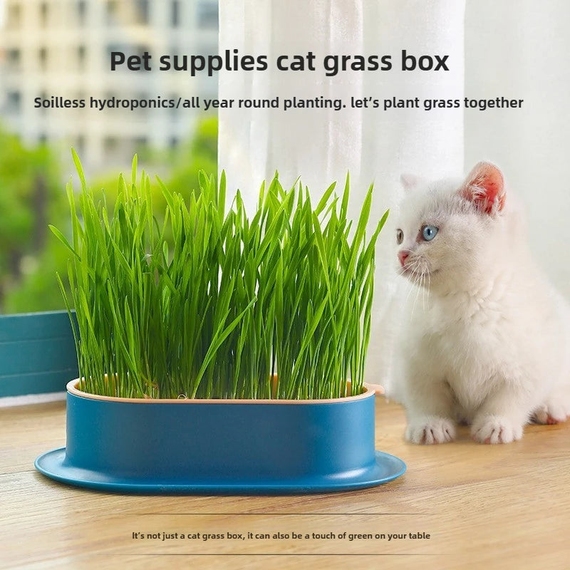 Pet Supplies Cat Snacks Cat Planting Hydroponic Box Cat Grass Pot Hydroponic Cat Grass Box