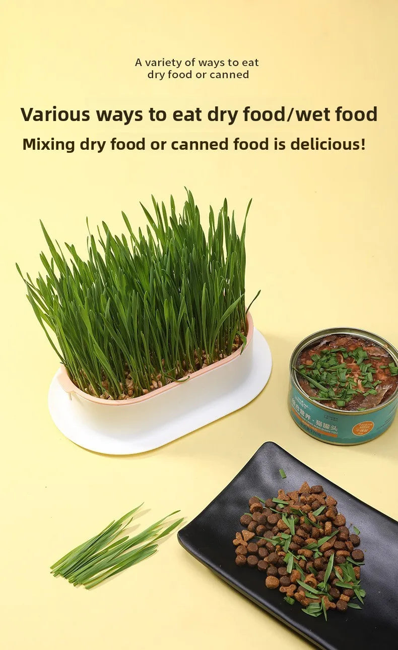 Pet Supplies Cat Snacks Cat Planting Hydroponic Box Cat Grass Pot Hydroponic Cat Grass Box