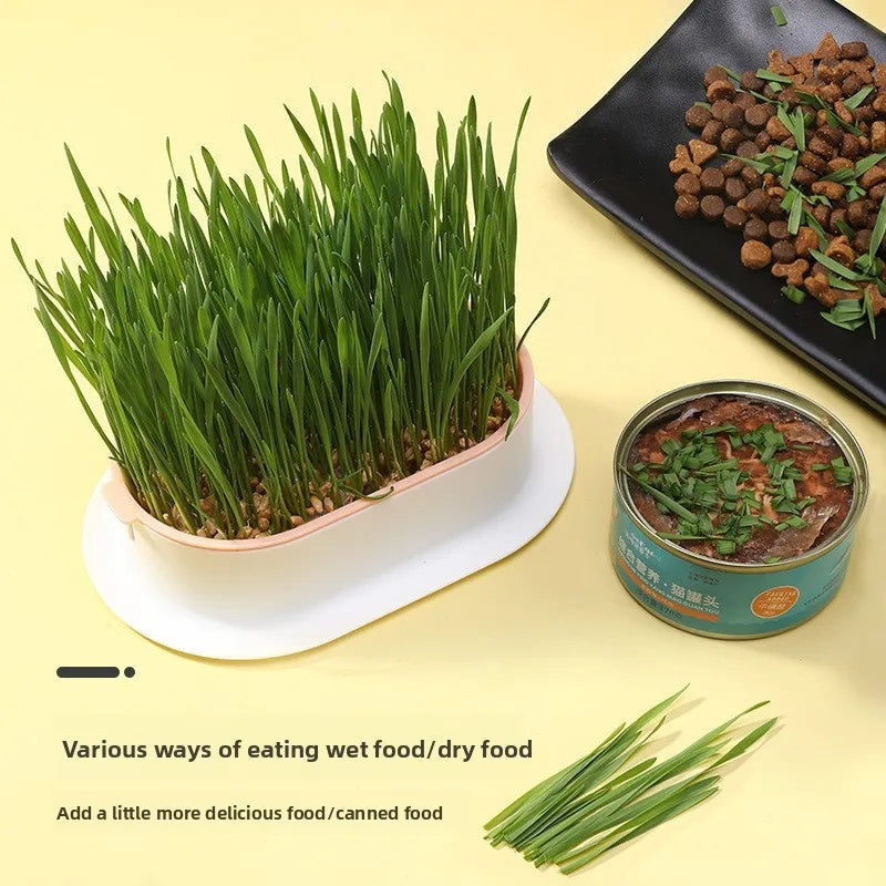 Pet Supplies Cat Snacks Cat Planting Hydroponic Box Cat Grass Pot Hydroponic Cat Grass Box